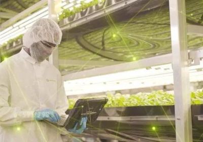 智慧農業新浪潮 2021年全球九大植物工廠動態盤點與智能農業管理趨勢